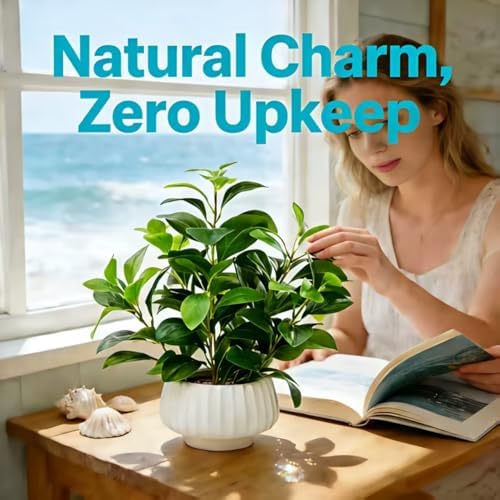 Artificial Peperomia Plants 16” Tall Lifelike Faux Greenery in 6” White Ribbe...