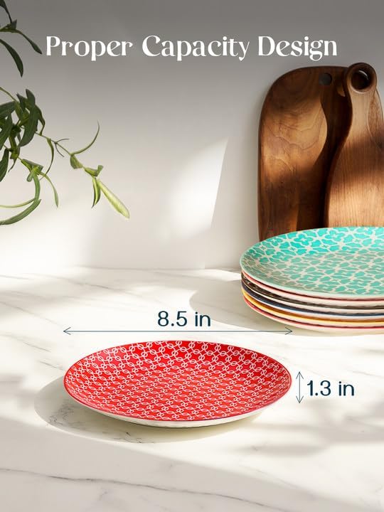DOWAN 8.5" Salad Plates Set of 6, Ceramic Dessert Plate for Appetizer, S...