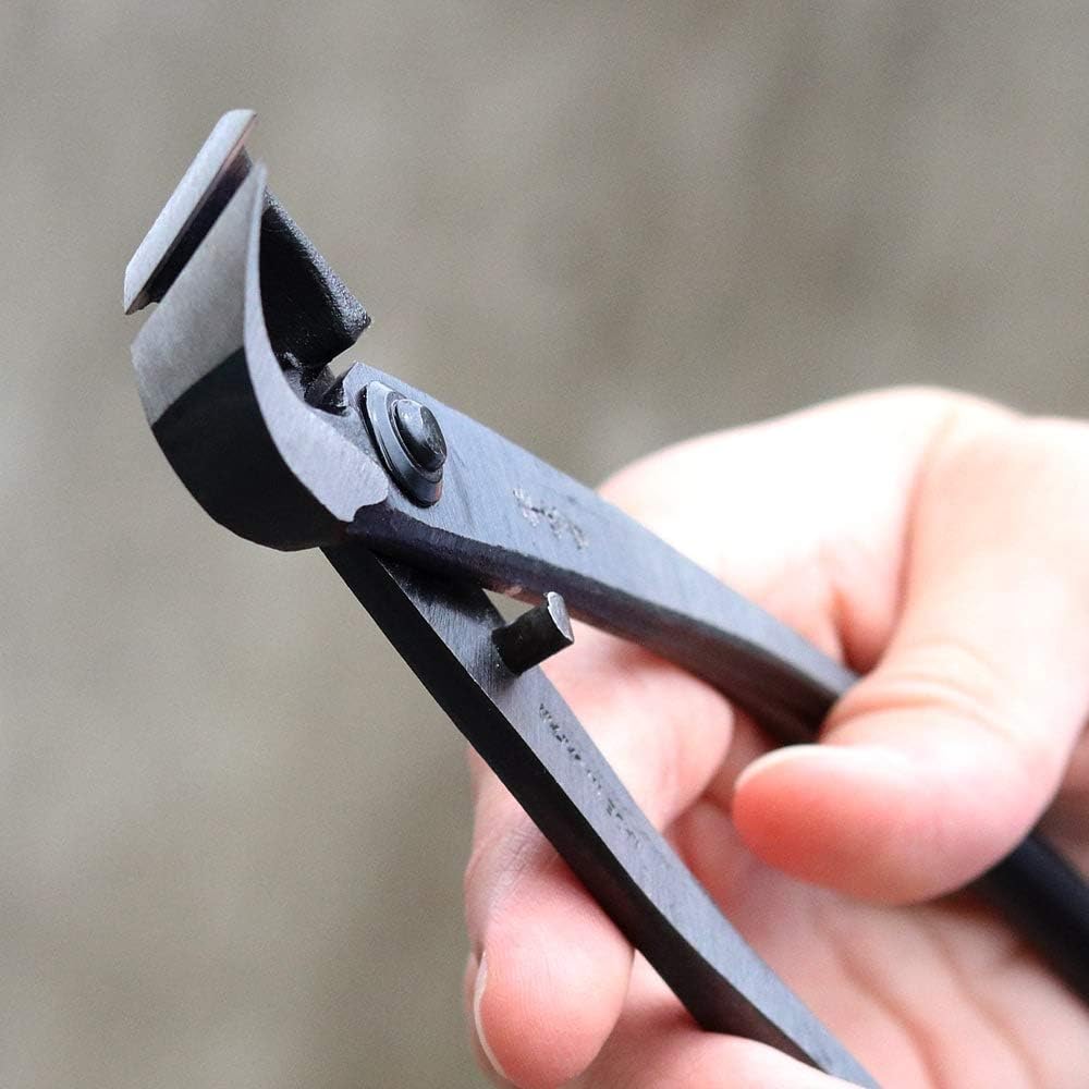 Wazakura Bonsai Tool Kit, Traditional Scissors and Concave Cutter, Japan