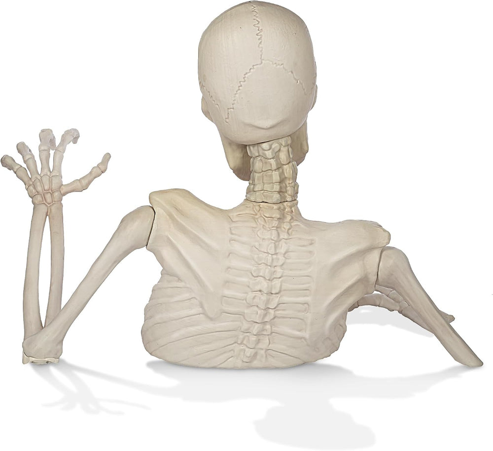 BOO BOX 3 Ft. Halloween Groundbreaker Skeleton, Giant Outdoor Decoration for ...