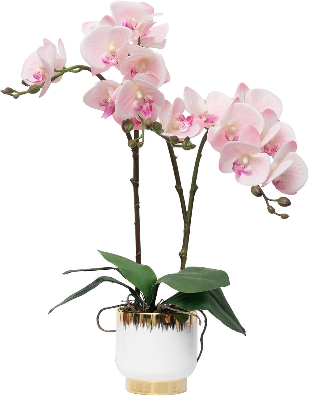 CXGS Orchids Artificial Flowers Real Touch Fake Flowers in Ceramic Pot 20&quo...