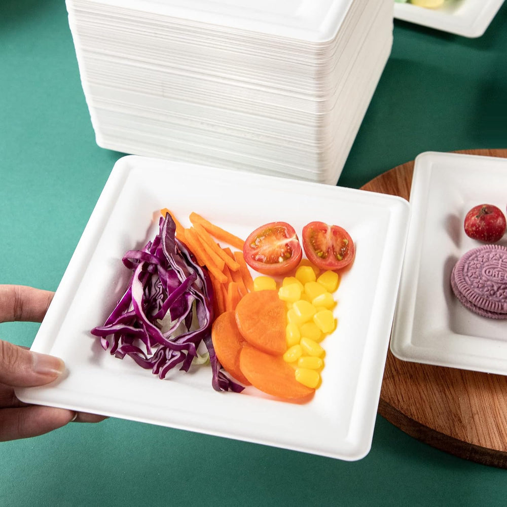 LIYH 200 Pack 6 Inch Compostable Sugarcane Square Small Paper Plates – Biodeg...