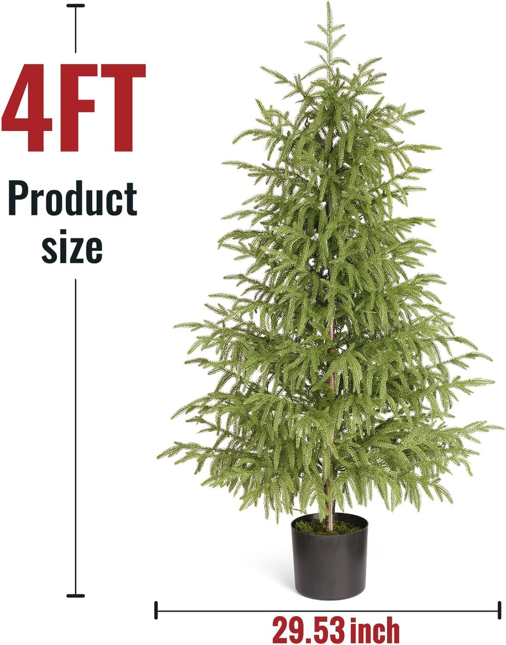 OasisCraft 4ft Pre-Lit Norfolk Pine Tree, Cordless, Real Touch