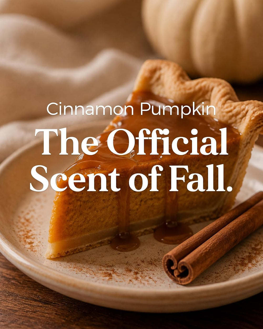 M&SENSE Cinnamon Pumpkin Scented Candle Fall Baking Spice Aroma 19.4oz