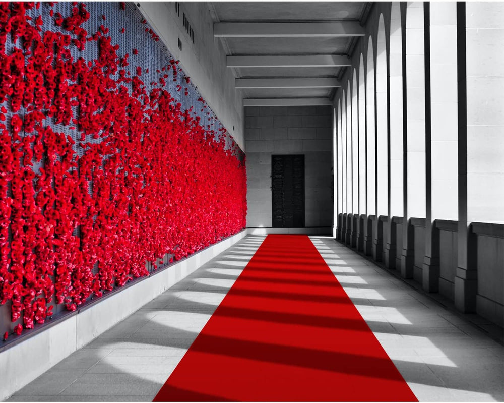 EZLucky Red Carpet Runner for Party, 2.6X30 ft, 130 GSM Felt Non-Woven Fabric...