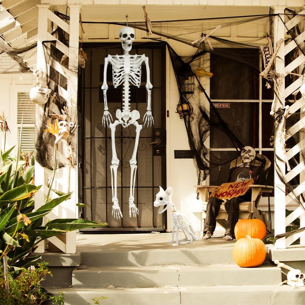 5.9Ft Halloween Life Size Skeleton with Cat for Halloween Party Decor