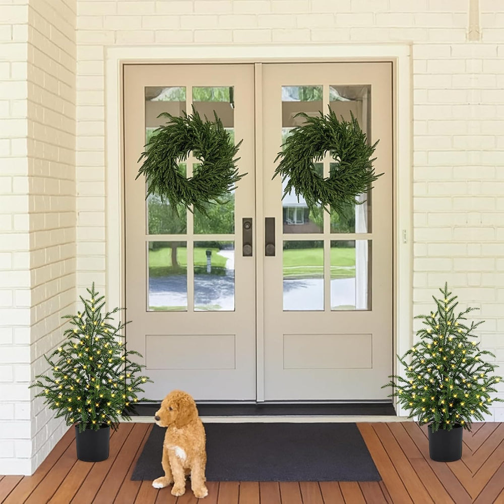 2FT Norfolk Pine Christmas Trees – Set of 2 Small Artificial Pre-lit Trees, 3...