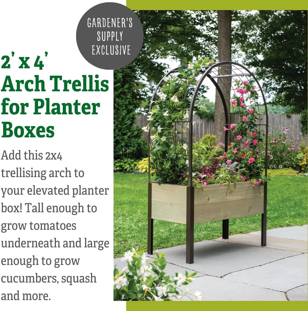 Gardener's Supply Company Arch Trellis, 2' x 4'
