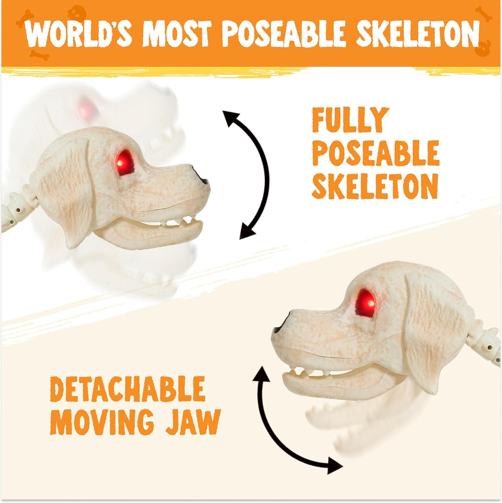 JOYIN Halloween Golden Retriever Skeleton 34” Animal Dog Plastic Skeleton wit...