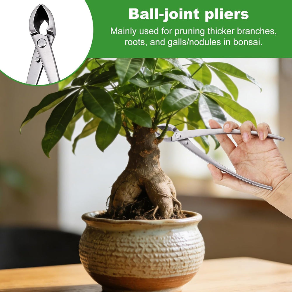 3pcs Bonsai Tool, Professional Stainless Steel Bonsai Trimming Kit with Knob ...