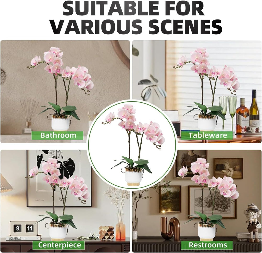 CXGS Orchids Artificial Flowers Real Touch Fake Flowers in Ceramic Pot 20&quo...