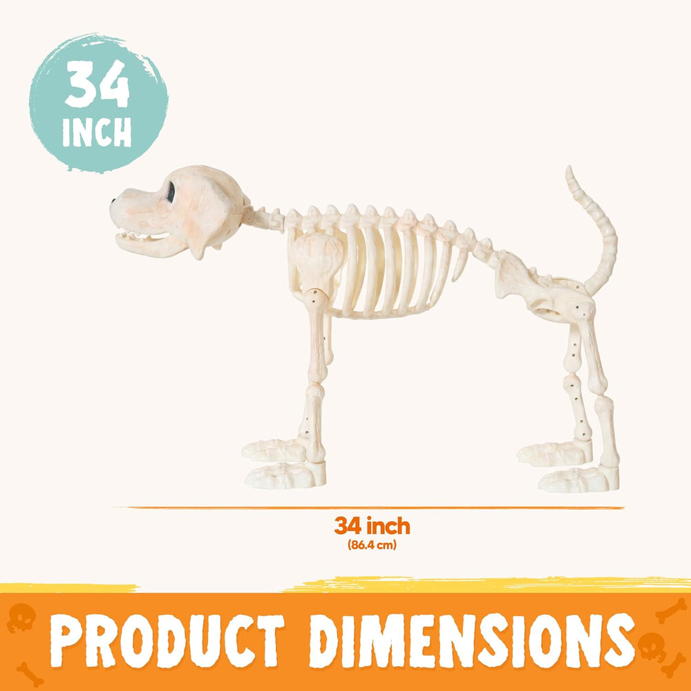 JOYIN Halloween Golden Retriever Skeleton 34” Animal Dog Plastic Skeleton wit...