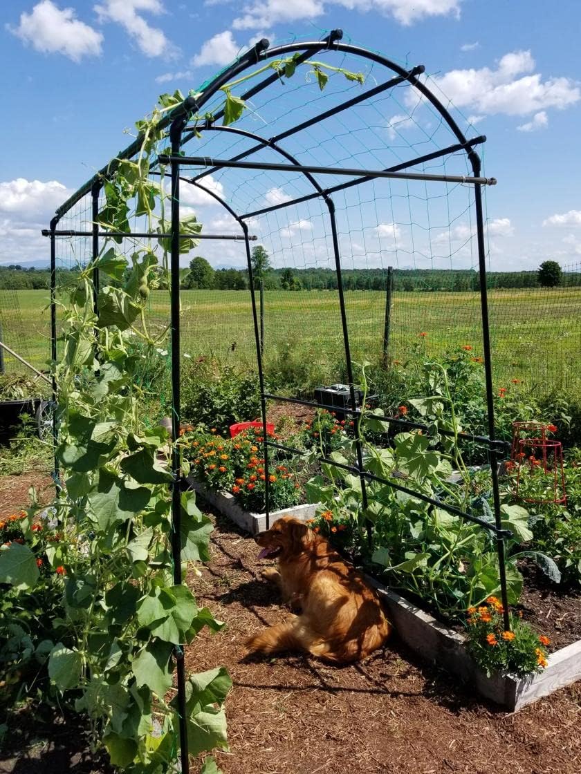 Gardener’s Supply Company Extra Tall Garden Arch Arbor | 80 Inch Tall Titan S...