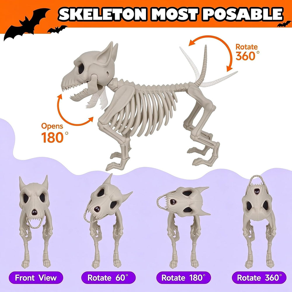 Posable Halloween Skeleton Decorations, 3 Pack Full Body Jointed Skeleton Set...