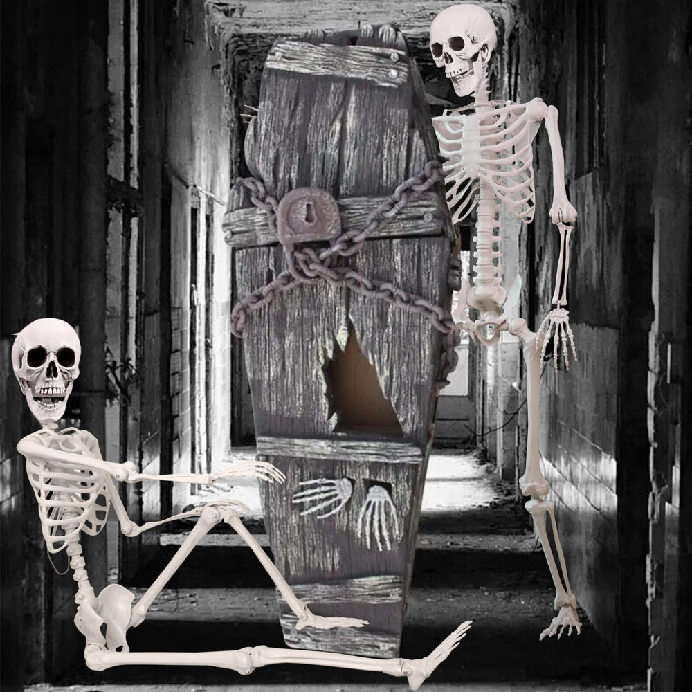 5.4 ft Halloween Skeleton Poseable Skeleton Life Size Skeleton Full Body Plas...