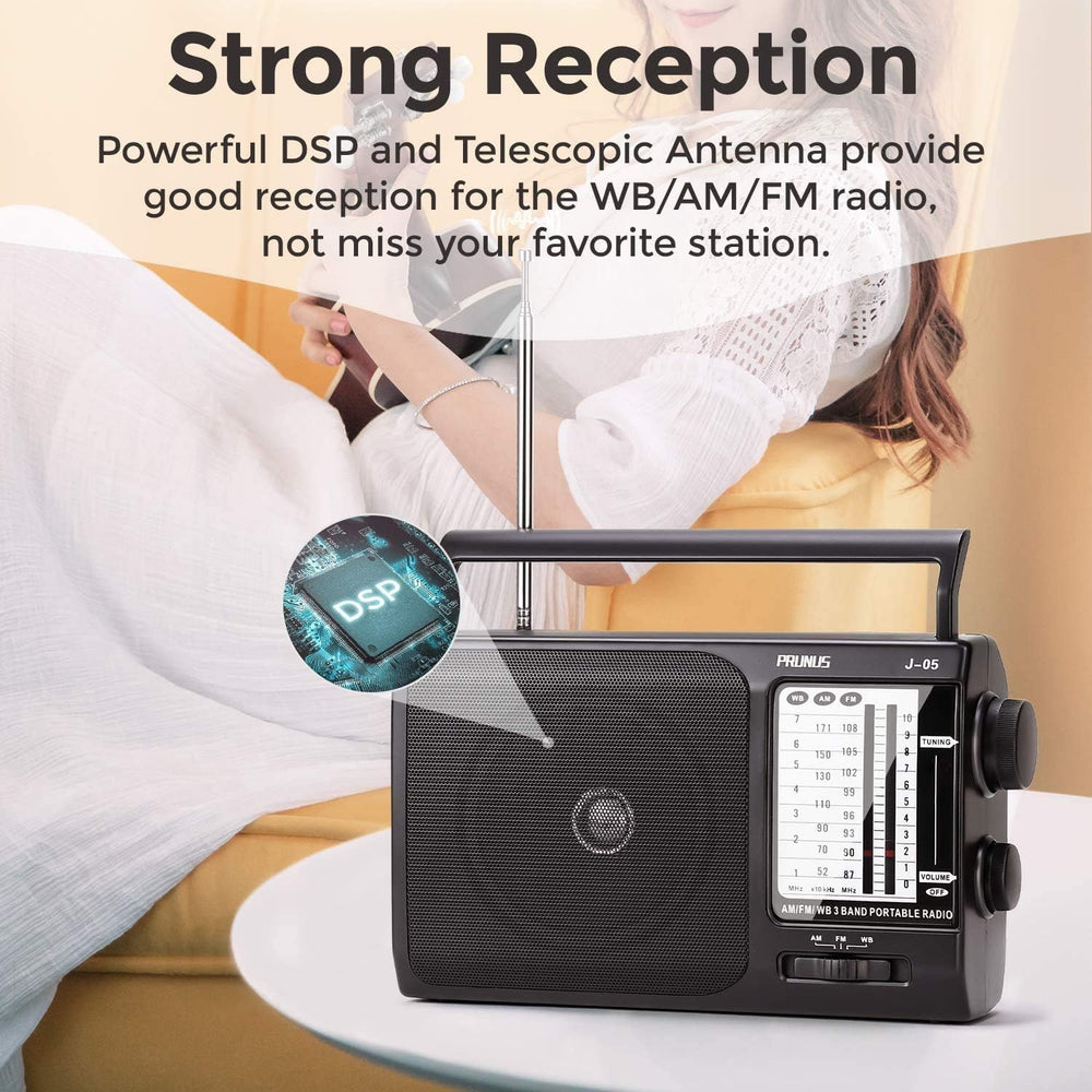 NOAA Weather AM FM Portable Radio, 3 D Batteries or AC Adapter Powered