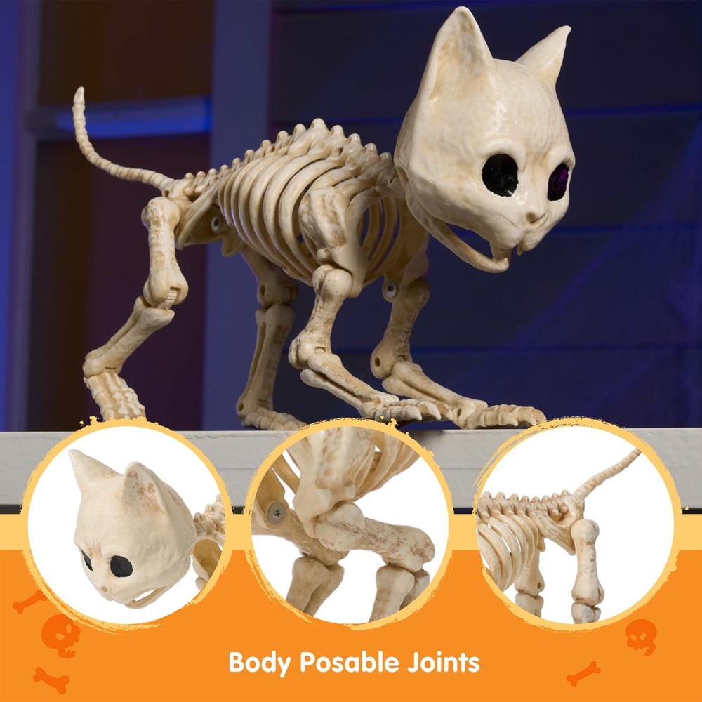 JOYIN Cat Skeleton Halloween Decorations 8 Inch Plastic Animal Skeletons with...