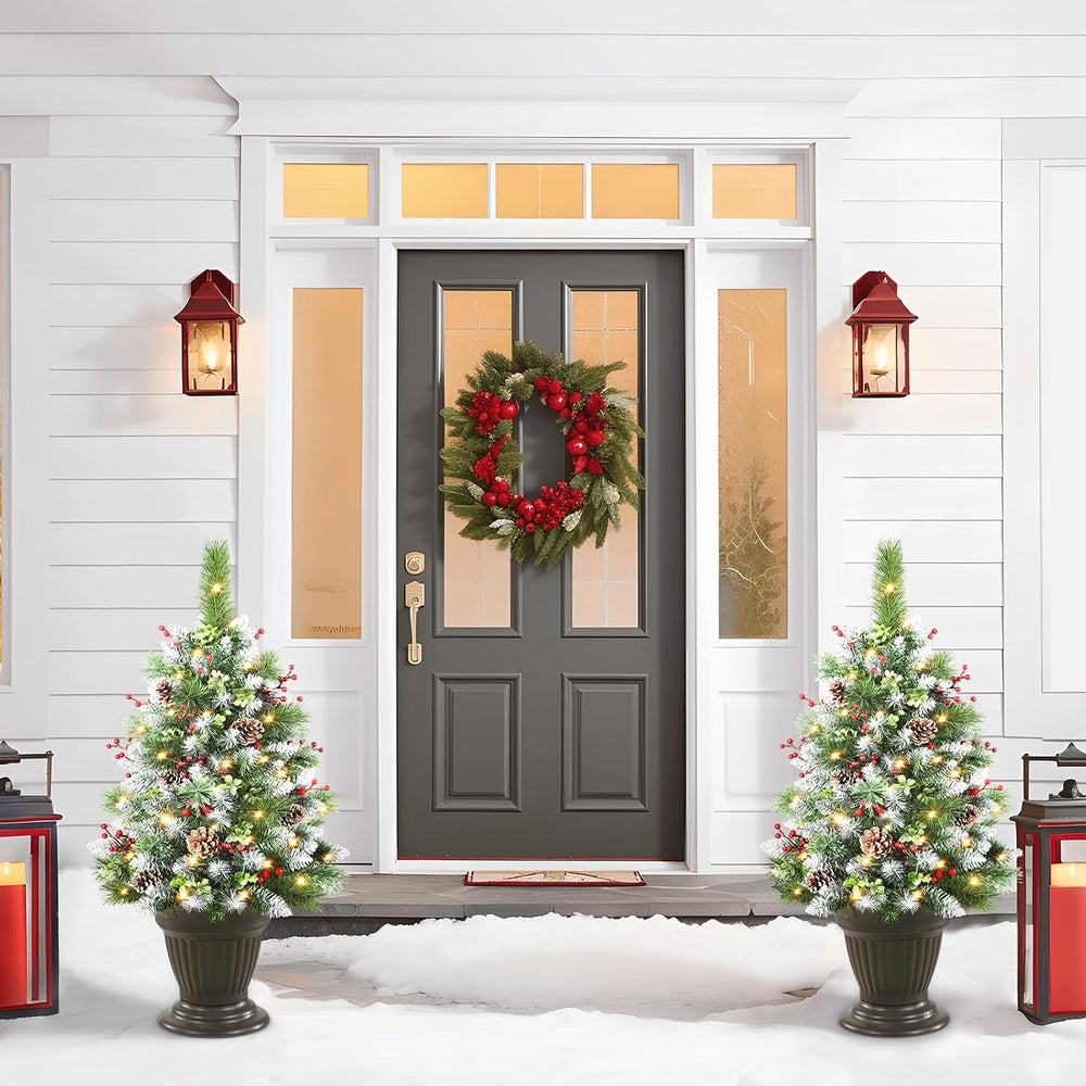 Set of 2 30 Inch Pre-lit Frosted Outdoor Christmas Tree with Remote