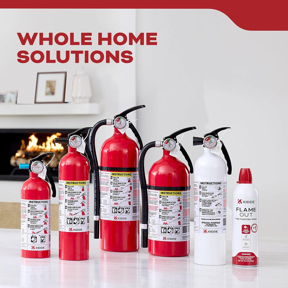 Kidde Living Area Fire Extinguisher for Home, 2-A:10-B:C, KD143-210ABC