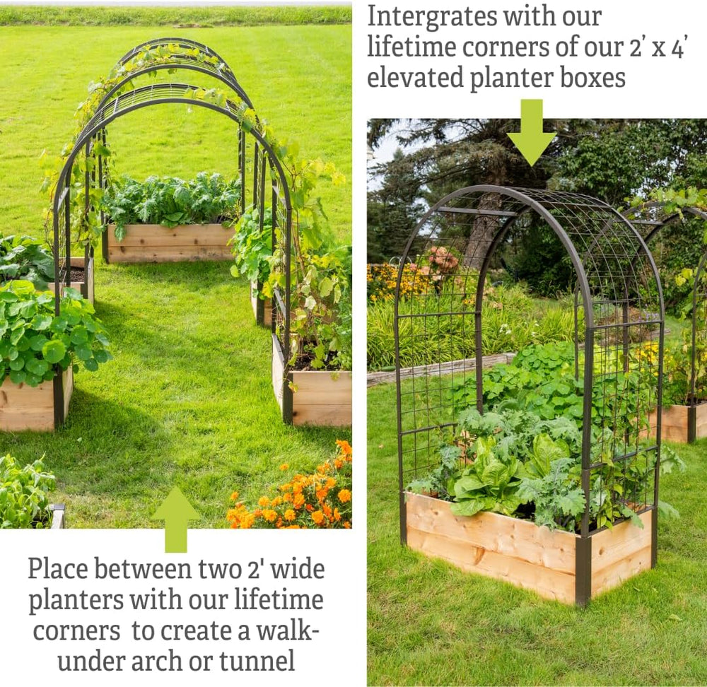 Gardener's Supply Company Arch Trellis, 2' x 4'