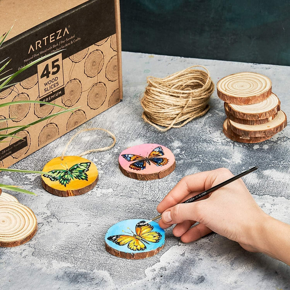 Arteza Outdoor Paint and Wood Slices Bundle, Painting Art Supplies for Artist...