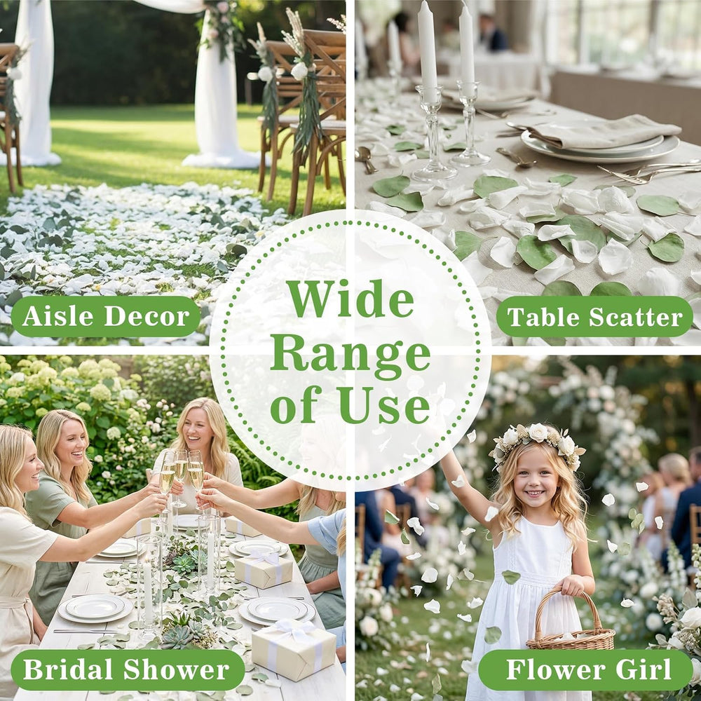 500+PCS Real White Rose Petals & Eucalyptus Leaves Flower Petals