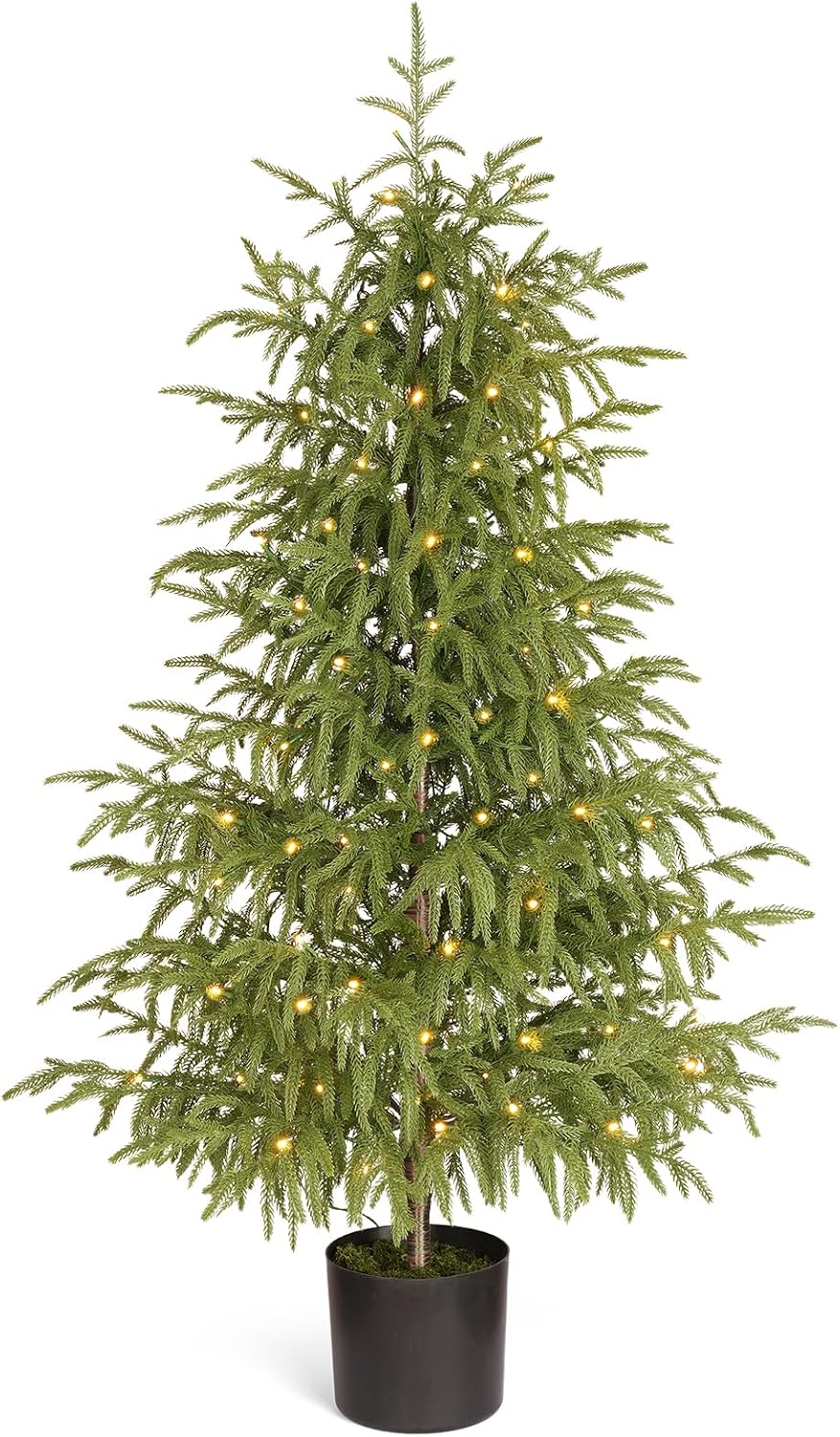 OasisCraft 4ft Pre-Lit Norfolk Pine Tree, Cordless, Real Touch