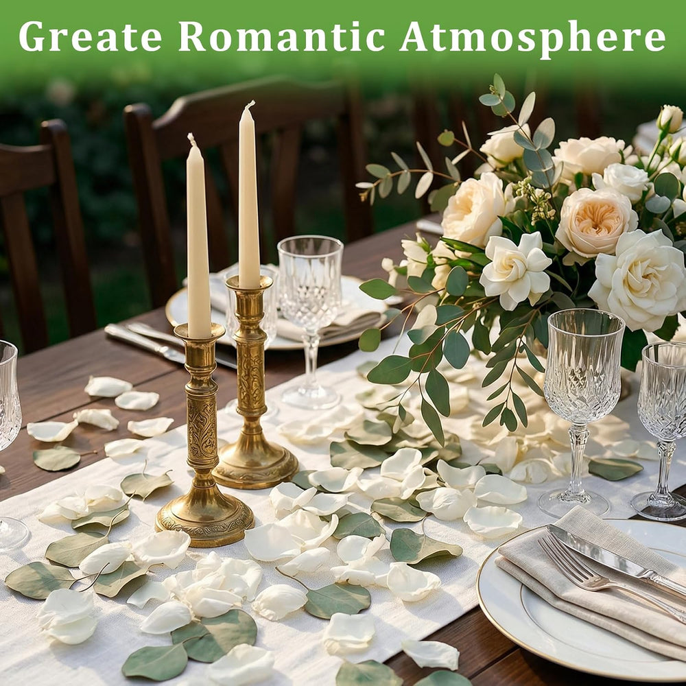 500+PCS Real White Rose Petals & Eucalyptus Leaves Flower Petals