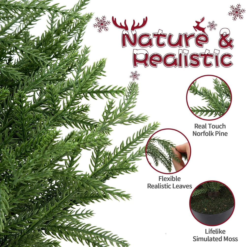 3FT Small Norfolk Pine Christmas Trees, 2-Pack Potted, Unlit