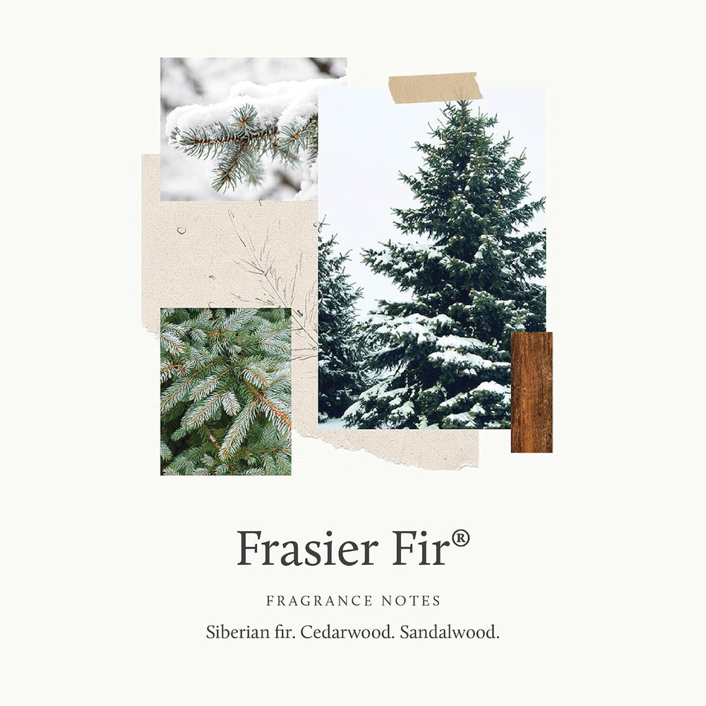 Thymes Frasier Fir Pine Needle Candle – Holiday Candles for Home Scented with...