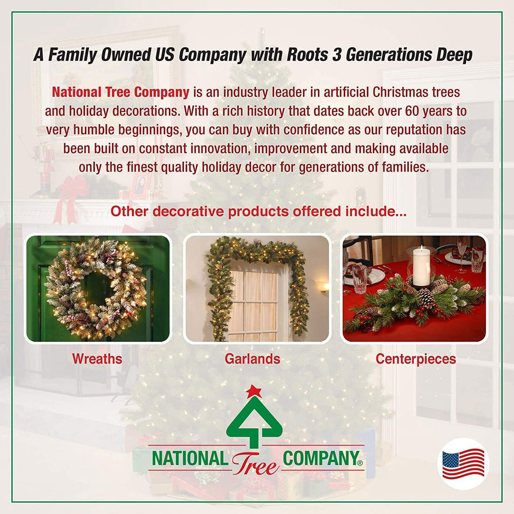 National Tree Company 4ft Pre-Lit Kincaid Spruce Medium Christmas Tree