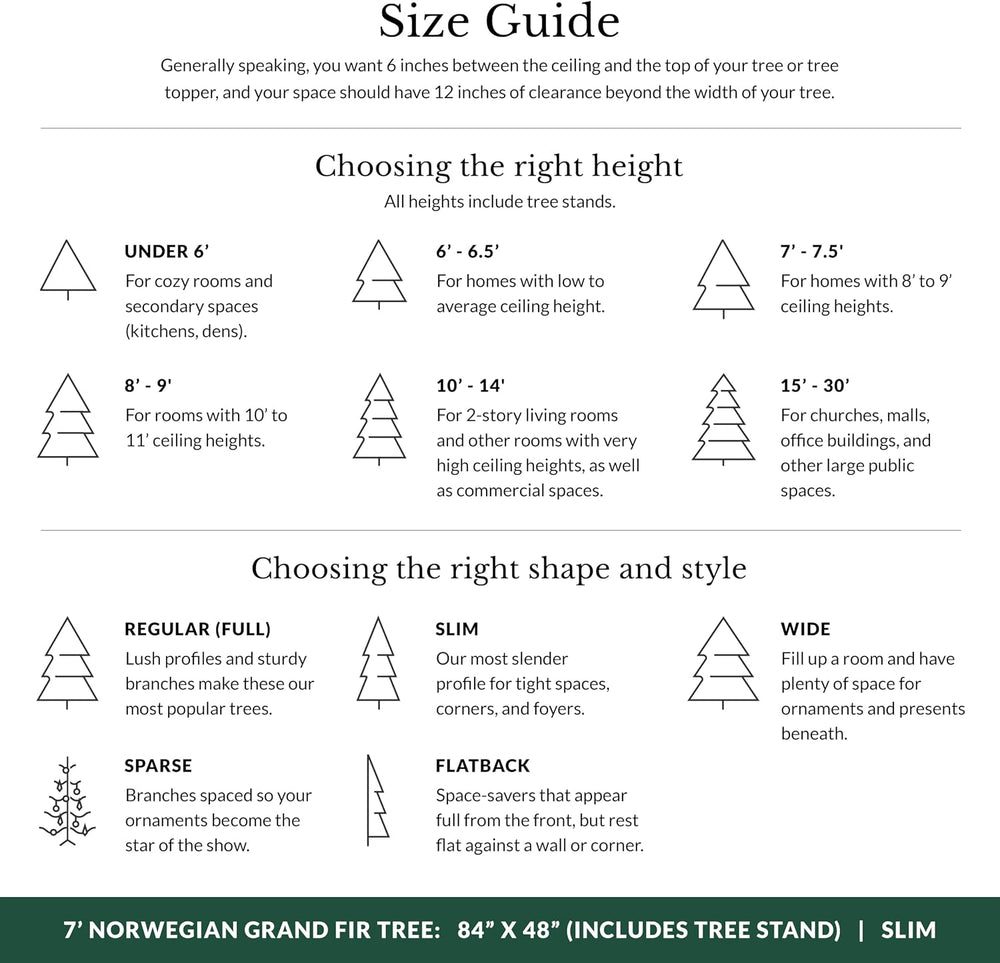 Balsam Hill Norwegian Grand Fir - Traditional Slim Artificial Christmas Tree ...