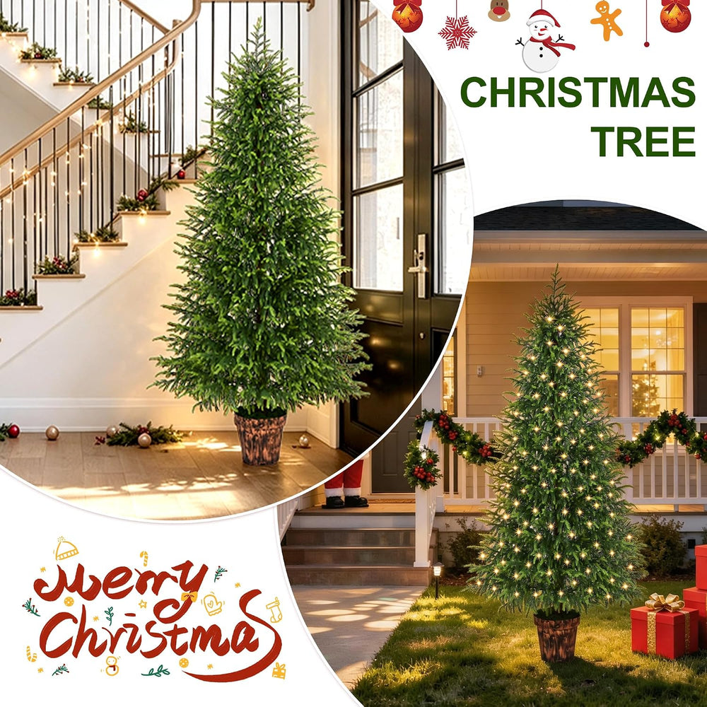BLEUM CADE 6FT Christmas Tree with Pot, Norfolk Pine Christmas Tree Decor