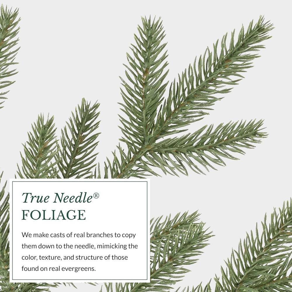 Balsam Hill Stratford Spruce - Slim Artificial Christmas Tree with True Needl...