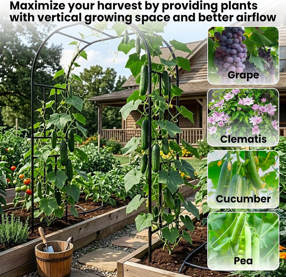 Extra Heavy Duty Garden Arch Trellis, 59.1 x 94.8 in, 1-Inch Poles