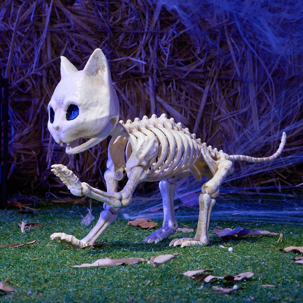 JOYIN Cat Skeleton Halloween Decorations 8 Inch Plastic Animal Skeletons with...