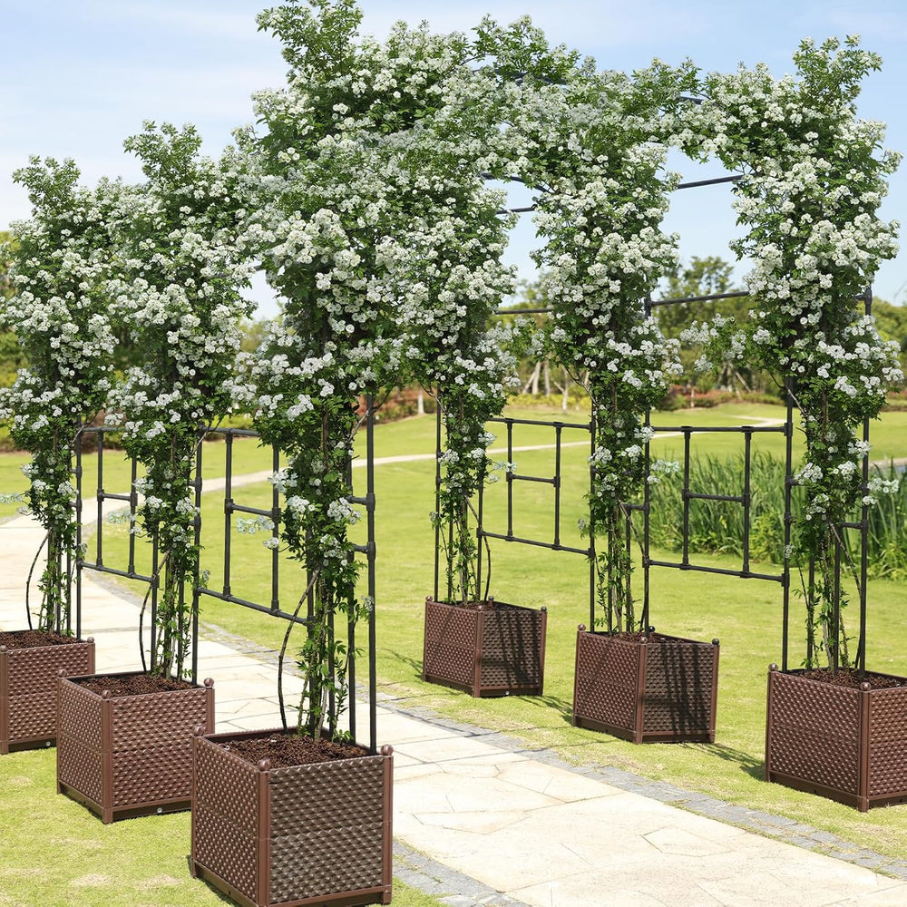 Garden Arch Trellis - Garden Arch Size Length: 59in Height: 94.5in