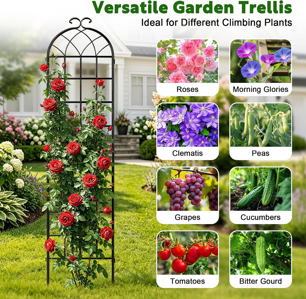 82.7 x 40in Rustic Iron Arch Decoration Garden Trellis with Black Metal Coati...