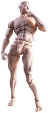 1/12 male action figure 6inch flexible muscular strong on a desk or shelf