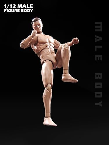 fremego 1/12 scale action figure,6inch male strong muscular shown in use