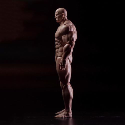 1/12 scale male action figure strong muscle joint shown in use