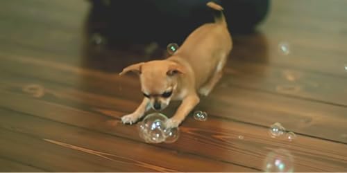 bubbletastic bacon bubble machine for dogs - with showing dimensions