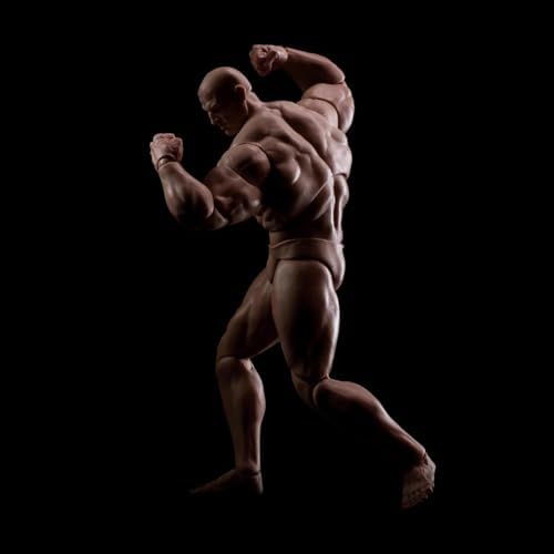 1/12 scale male action figure strong muscle joint, package contents