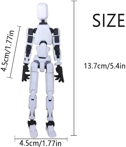 dumwick titan 13 action figure,3d printed lucky robot, package contents