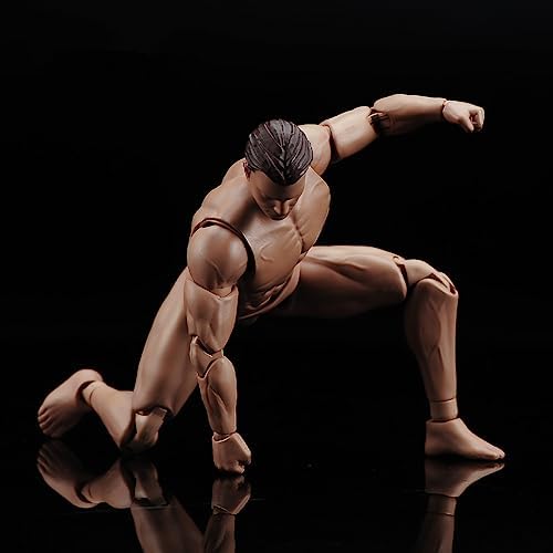 fremego 1/12 scale action figure,6inch male strong muscular on a desk or shelf