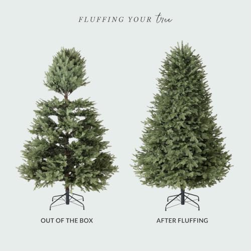 Balsam Hill BH Balsam Fir Full Tree - Realistic Artificial Christmas Tree with Premium Stand & Easy Assembly for Indoor Holiday Decorating, Unlit, 6.5ft