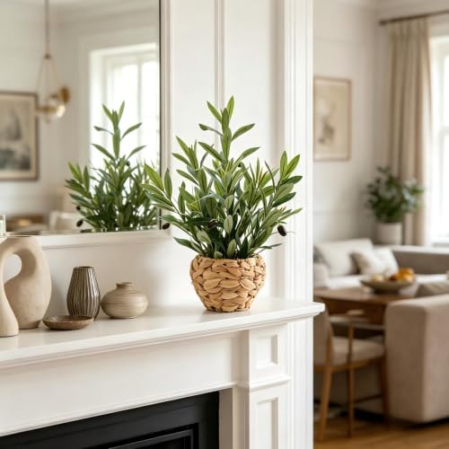 AlphaAcc Fake Potted Plant Small Olive Water Hyacinth Mediterranean Decor