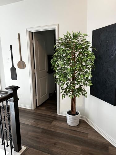Aveyas 6ft Artificial Ficus Tree for Home Decor, 6 Feet Faux Plant Fake Silk Trees with Pot for Indoor Outdoor House Living Room Office Garden (6 ft Tall)