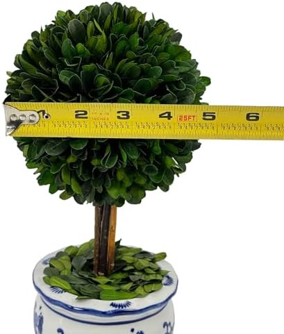 Galt International Naturally Preserved Boxwood Ball Topiary Tree in Round Hand Painted Blue & White Ceramic Pot Planter - European Rococo Home Decor Classic Chinoiserie Small 11" Tall Topiary