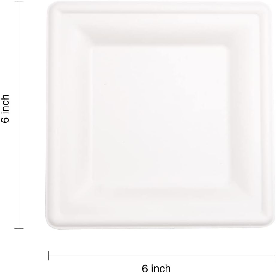 LIYH 200 Pack 6 Inch Compostable Sugarcane Square Small Paper Plates – Biodeg...